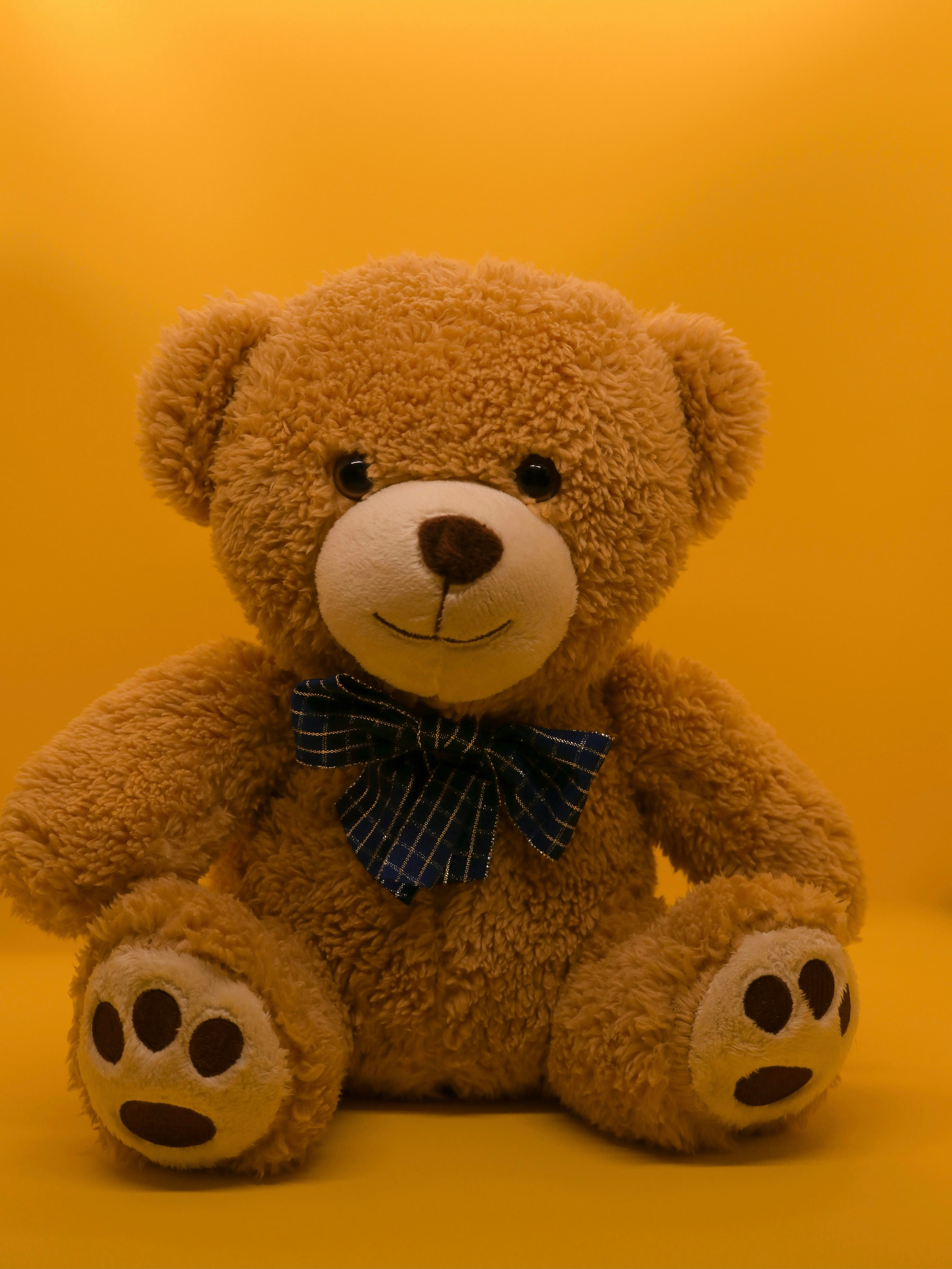 Soft Plush Animal Set